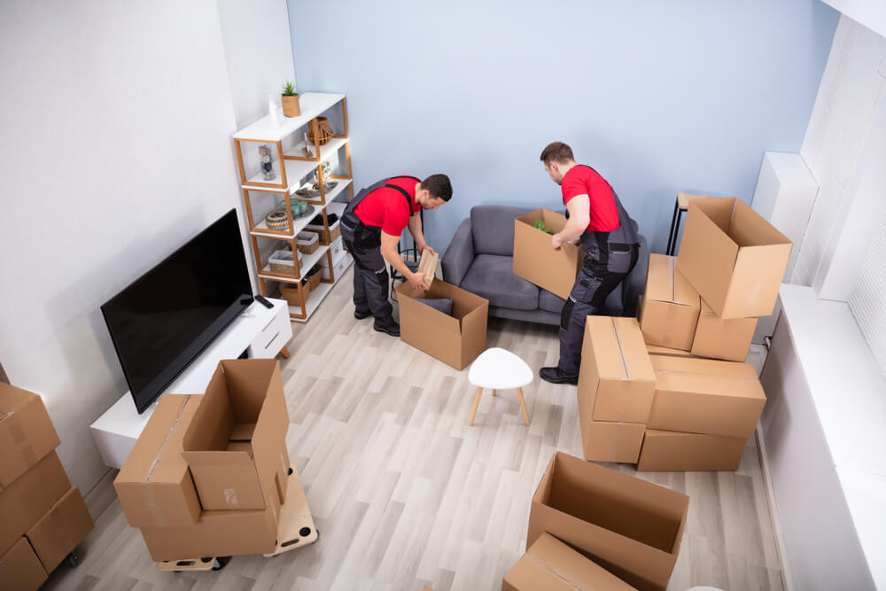 Comprehensive Moving Services in Washington DC