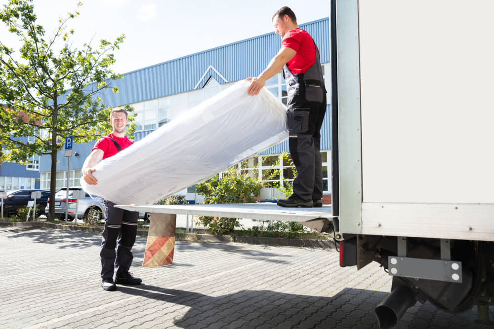 Experienced Moving Team Alapocas